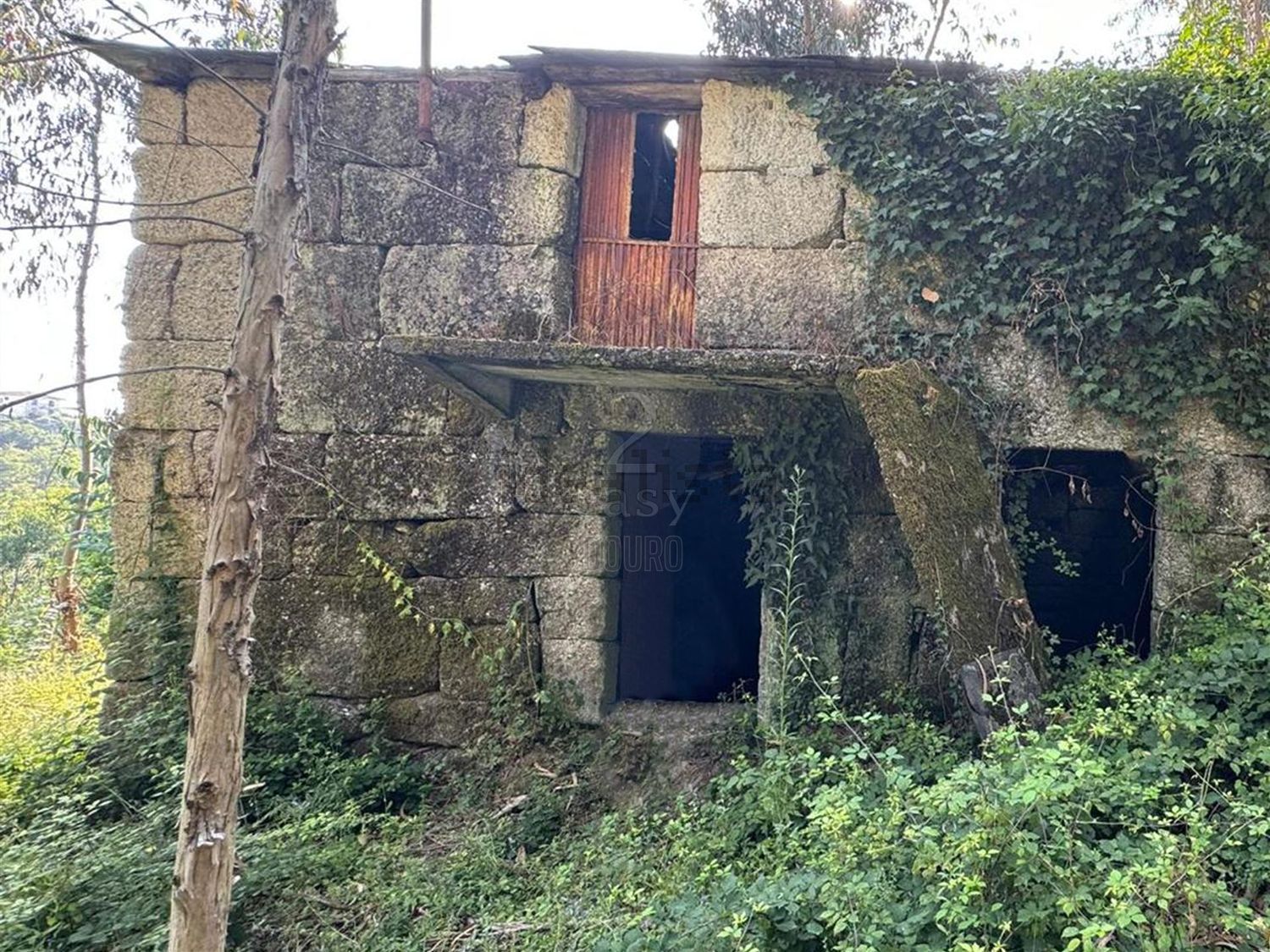 庄园出售在Rua Costa Grande de Cima, 100 - 外立面