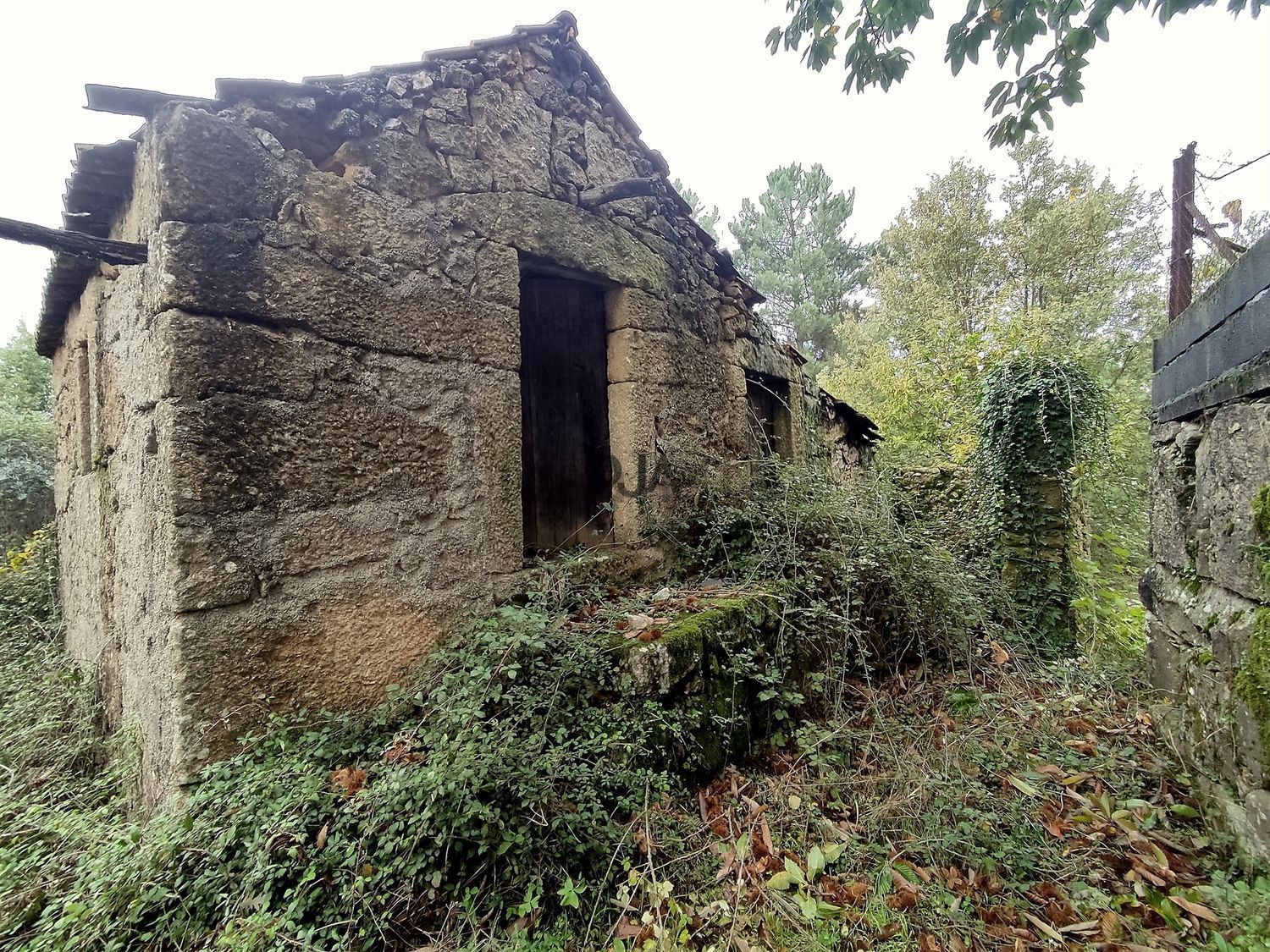 庄园出售Quinta Laboeira, 5 - 照片