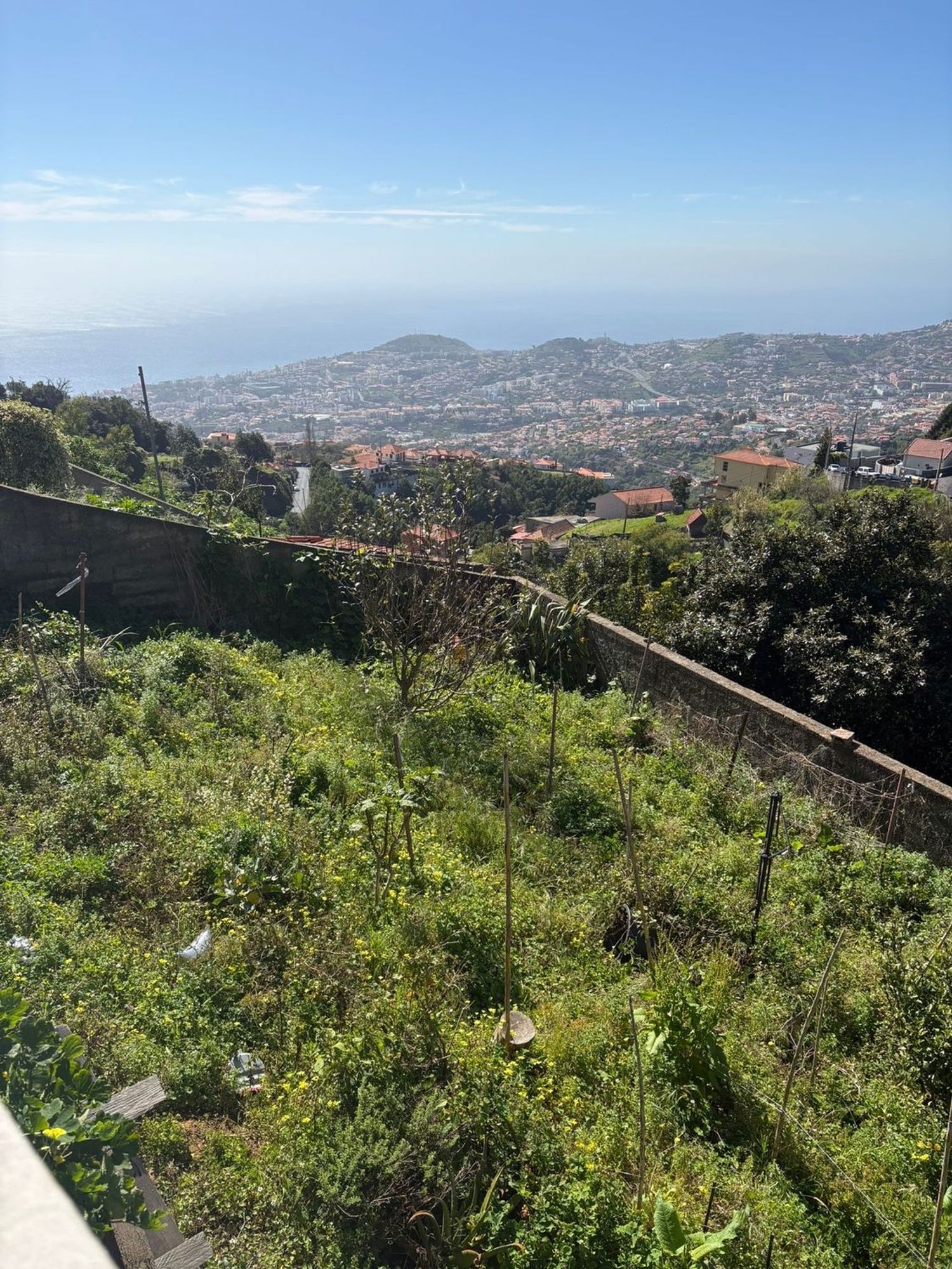 小楼房或独栋别墅出售在Caminho da fonte do Pereira, 7 - 花园