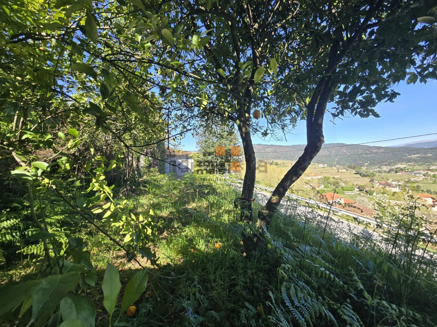 小楼房或独栋别墅出售在Vale de Bouro - 花园