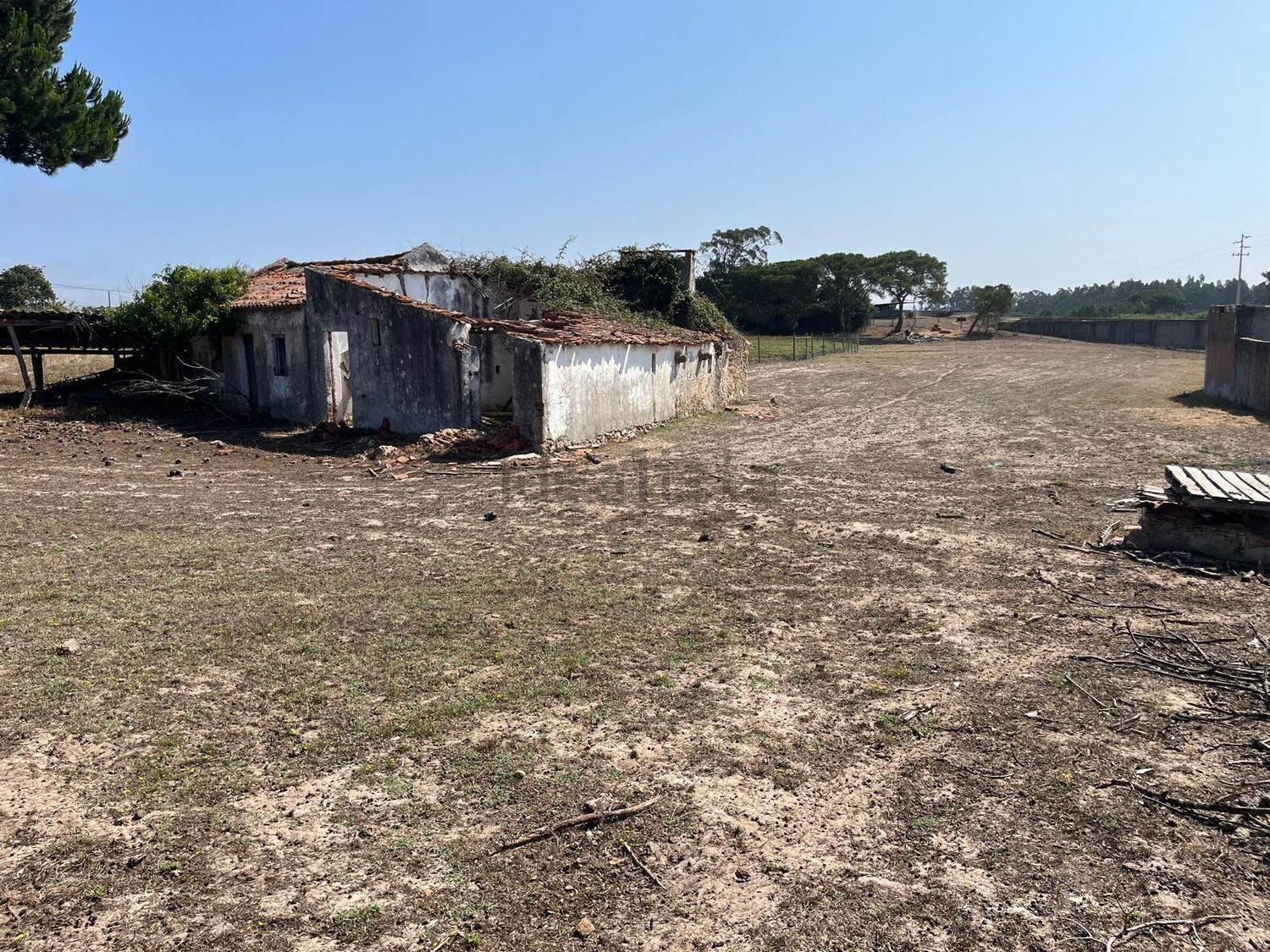 庄园出售在Santo Onofre e Serra do Bouro - 外立面