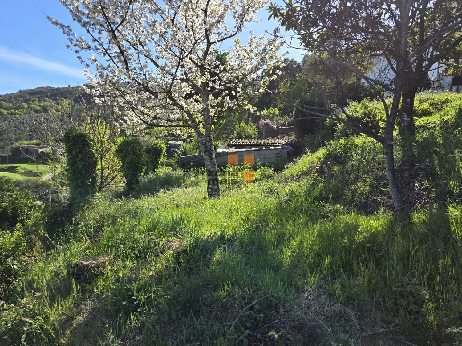 小楼房或独栋别墅出售在Vale de Bouro - 花园