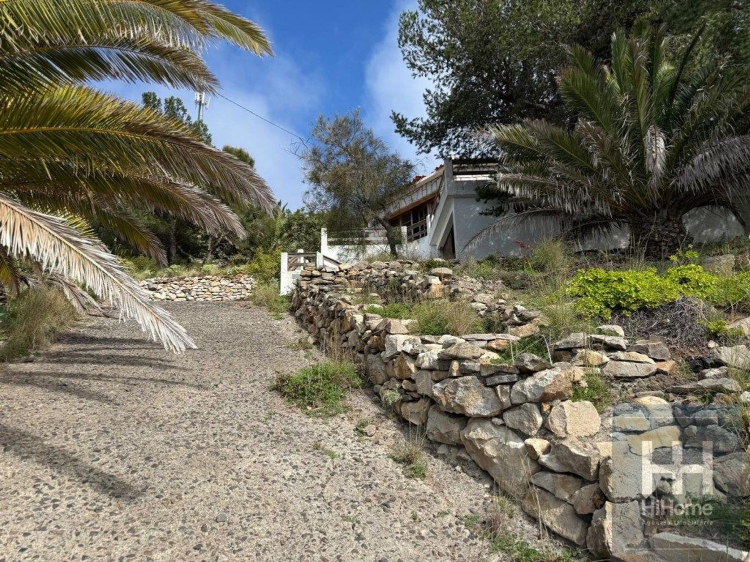 小楼房或独栋别墅出售在Porto Santo - 花园