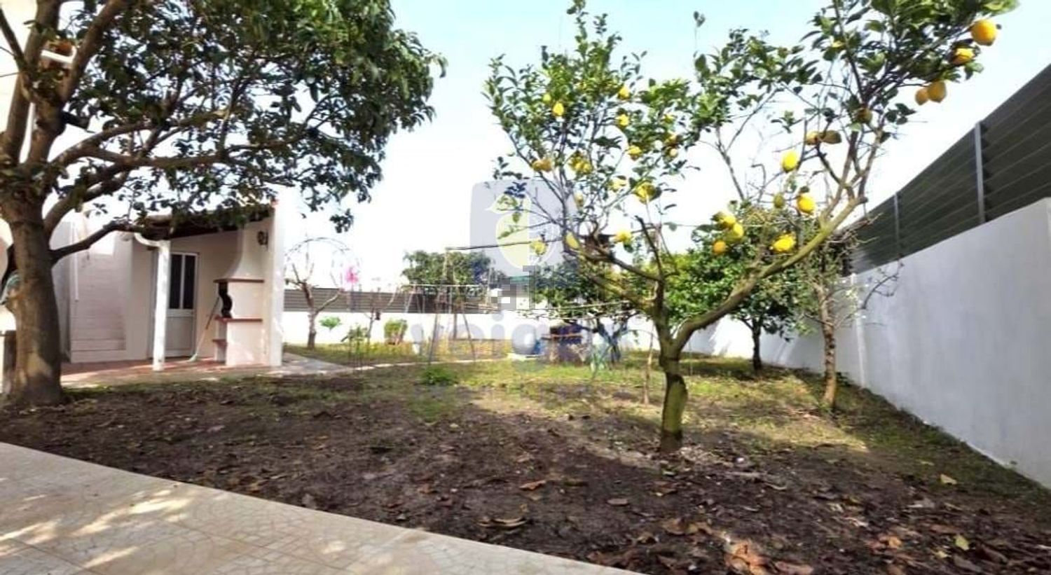 小楼房或别墅出售N8 - 花园