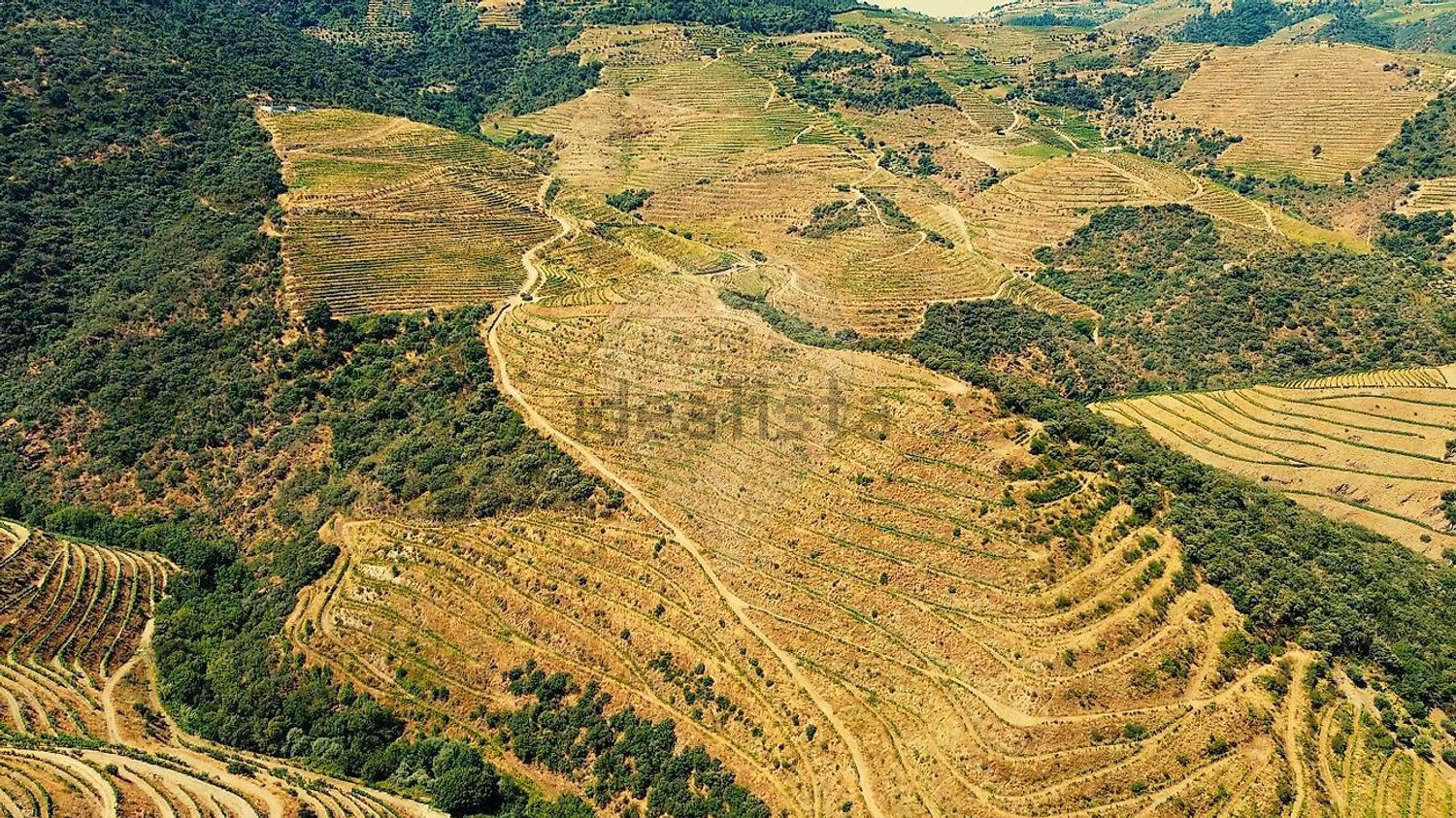 庄园出售在Bairro da Canelha - 视线