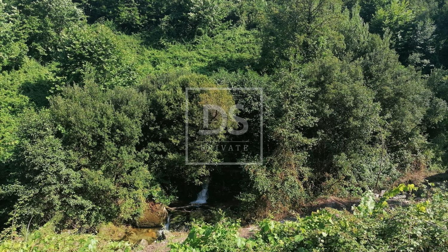 庄园出售在Britelo - Gémeos - Ourilhe - 花园