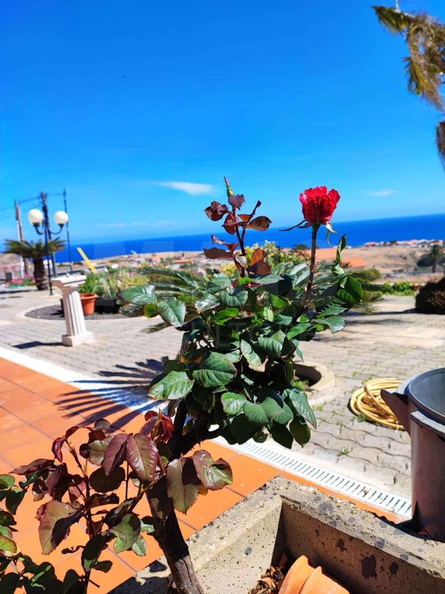 小楼房或别墅出售在Porto Santo - 视线
