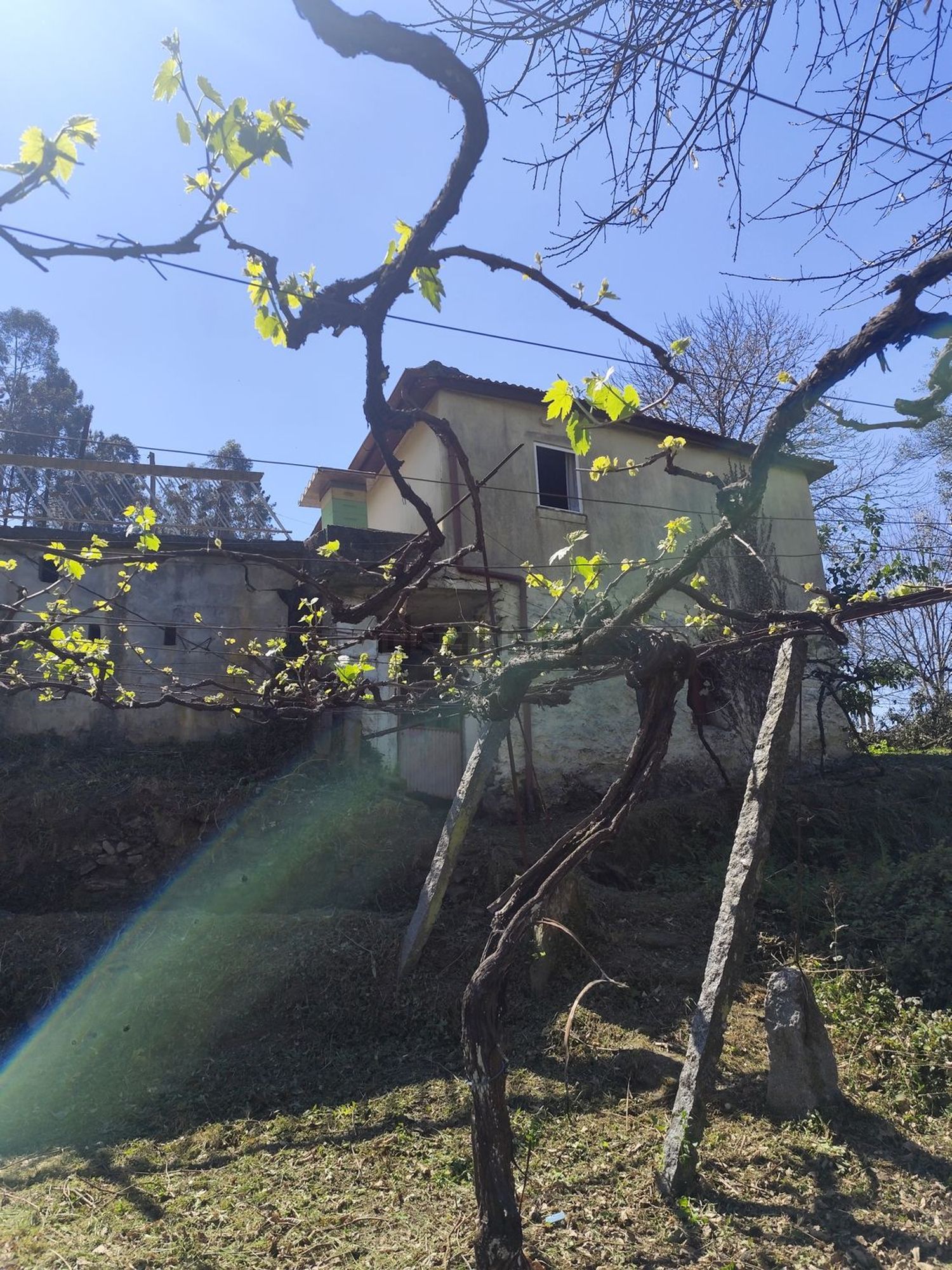 小楼房或独栋别墅出售在Rua de Vilarinho de Baixo, 442 - 外立面
