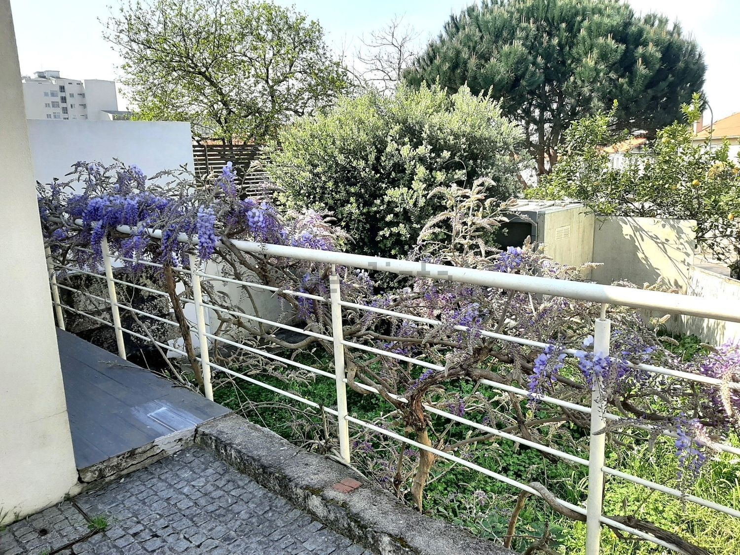 出租小楼房或独栋别墅在Parque da Cidade - Vilarinha - António Aroso - 花园