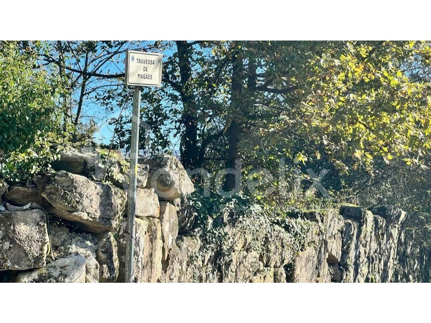 庄园出售在Rua Magães - 照片