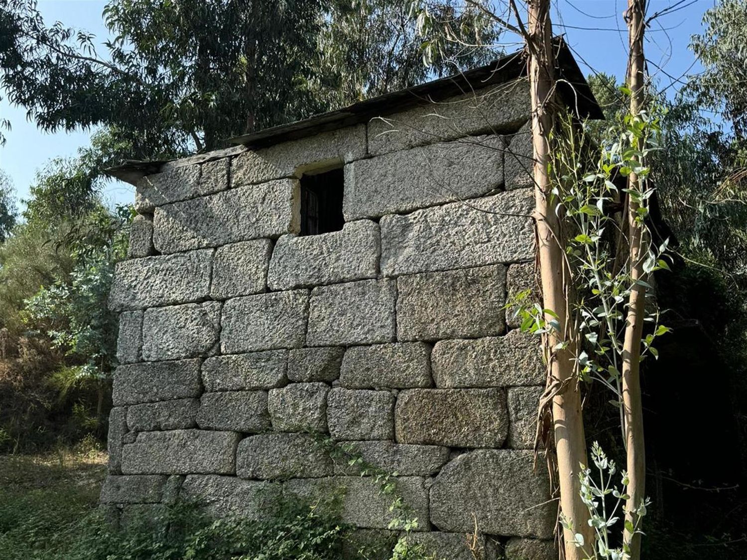 庄园出售在Rua Costa Grande de Cima, 100 - 外立面