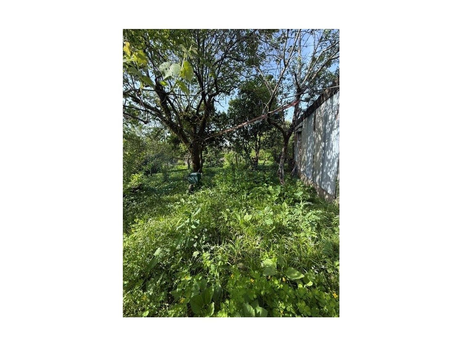 小楼房或独栋别墅出售在Rua de Recarei - 花园