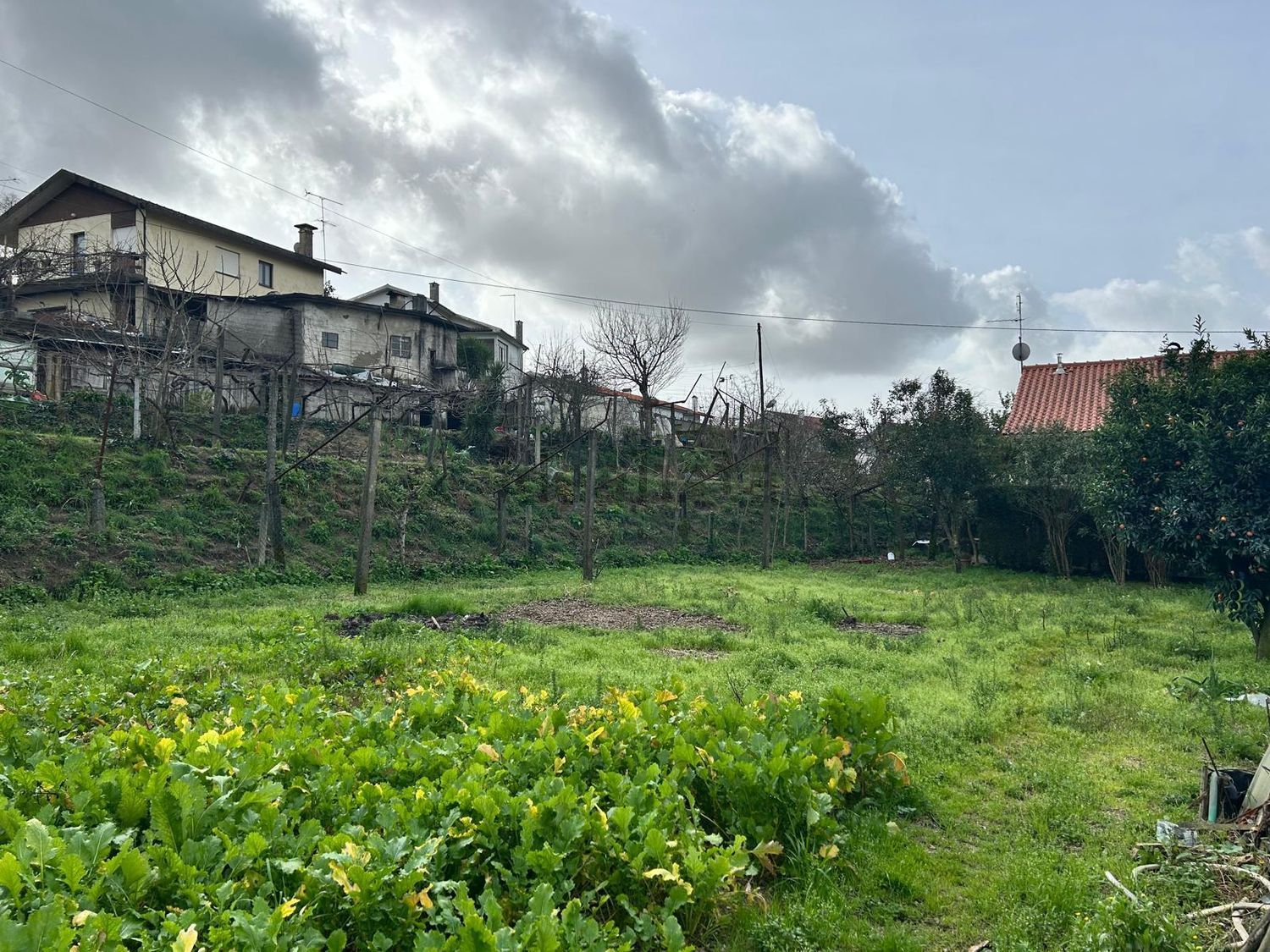 小楼房或独栋别墅出售在Amarante (São Gonçalo) - Madalena - Cepelos - Gatão - 花园