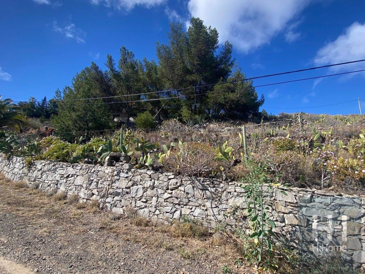 小楼房或独栋别墅出售在Porto Santo - 花园