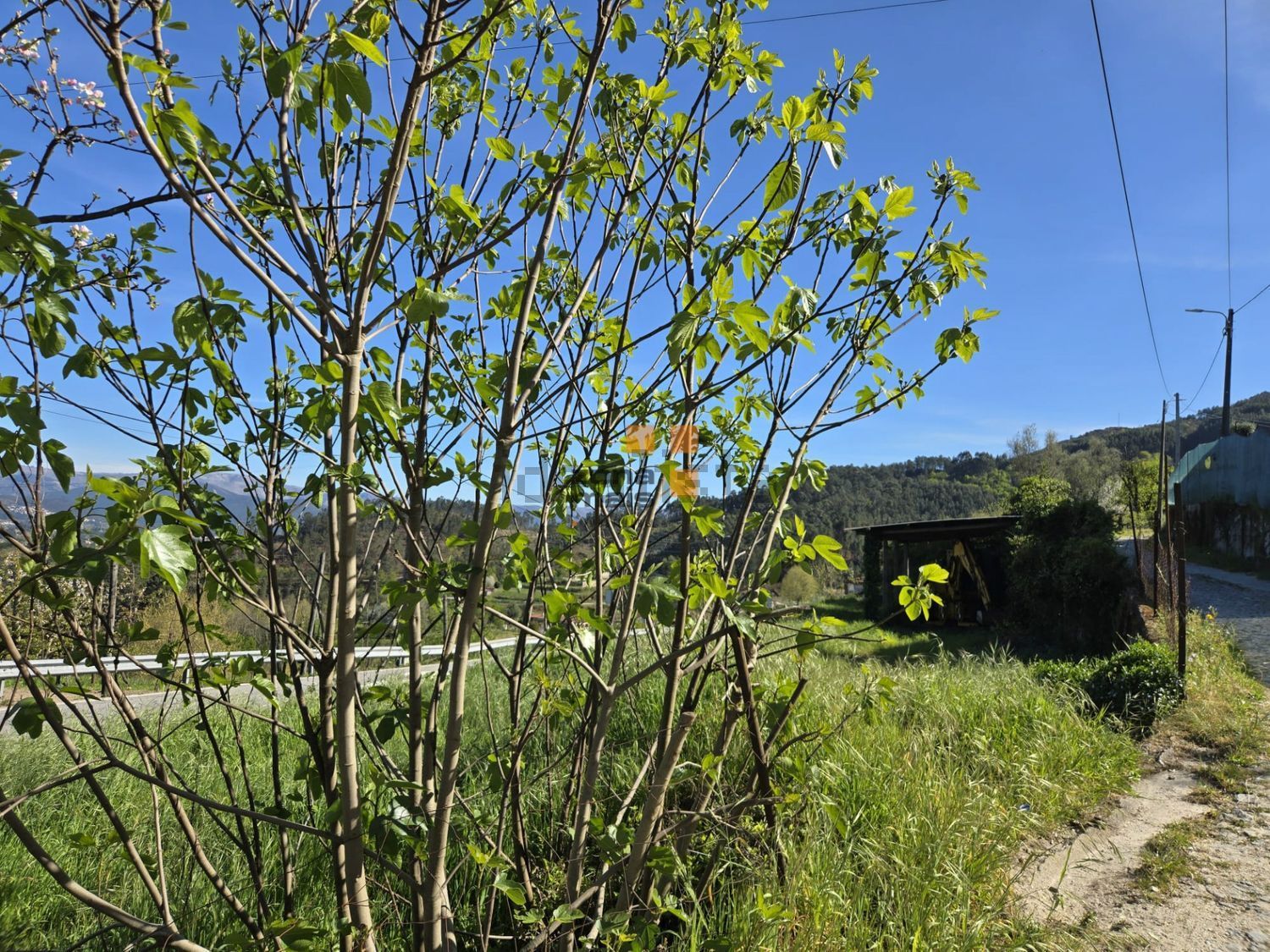 小楼房或独栋别墅出售在Vale de Bouro - 花园
