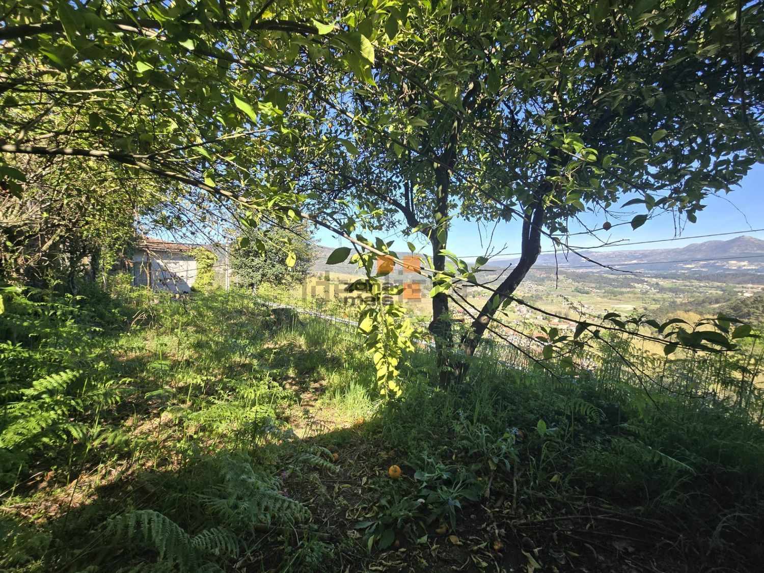 小楼房或独栋别墅出售在Vale de Bouro - 花园