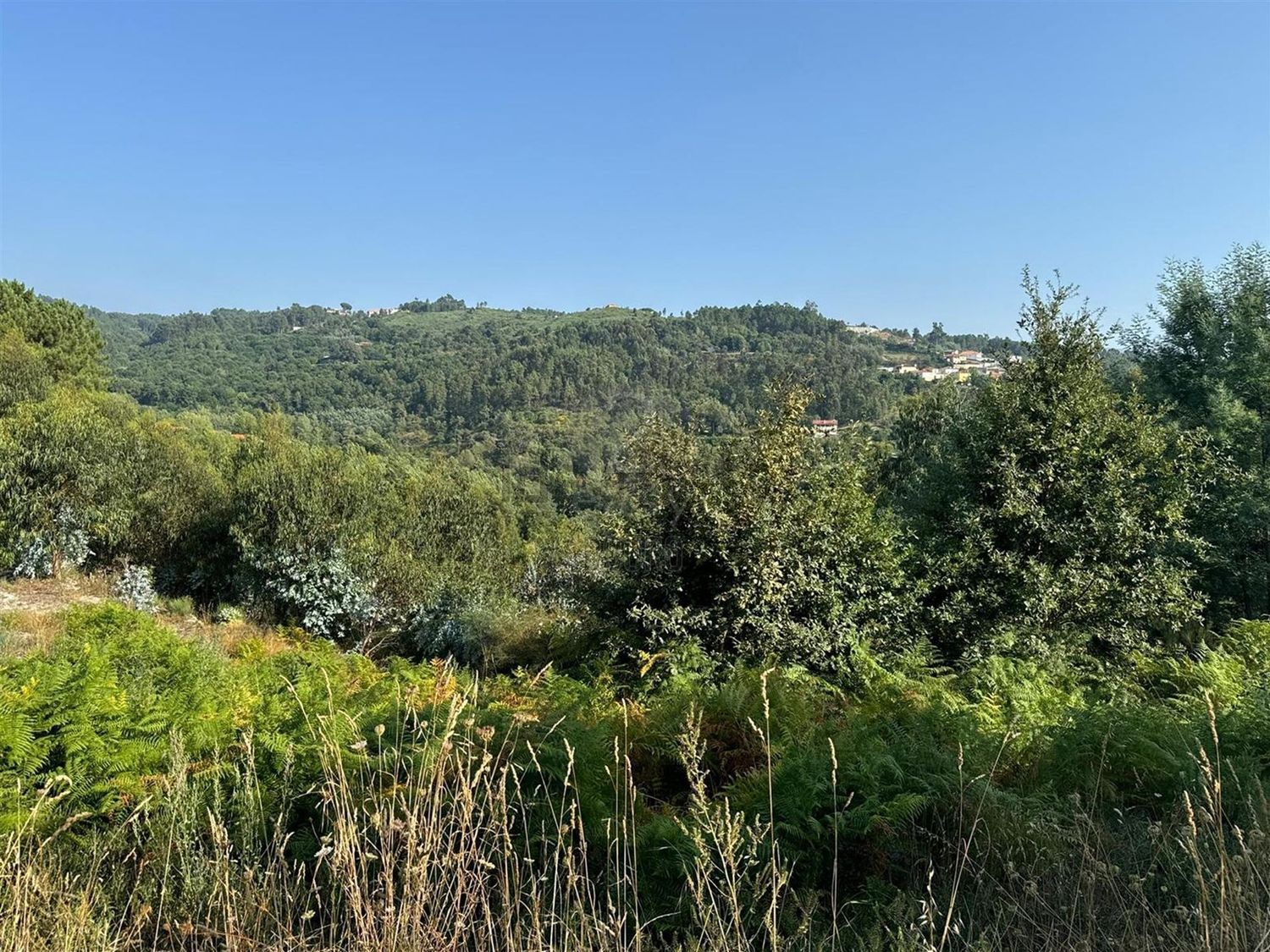 庄园出售在Rua Costa Grande de Cima, 100 - 视线