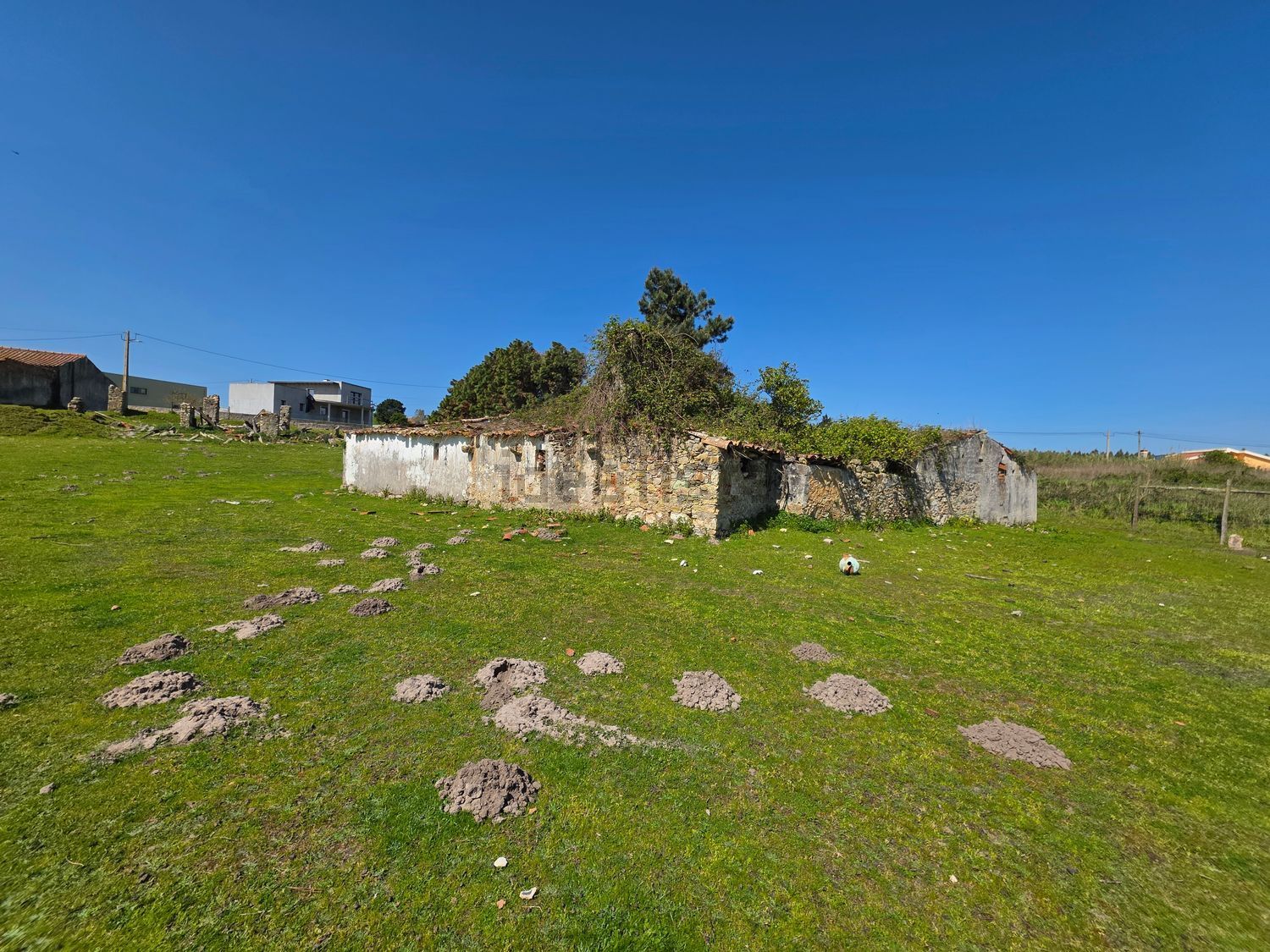 庄园出售在Santo Onofre e Serra do Bouro - 花园