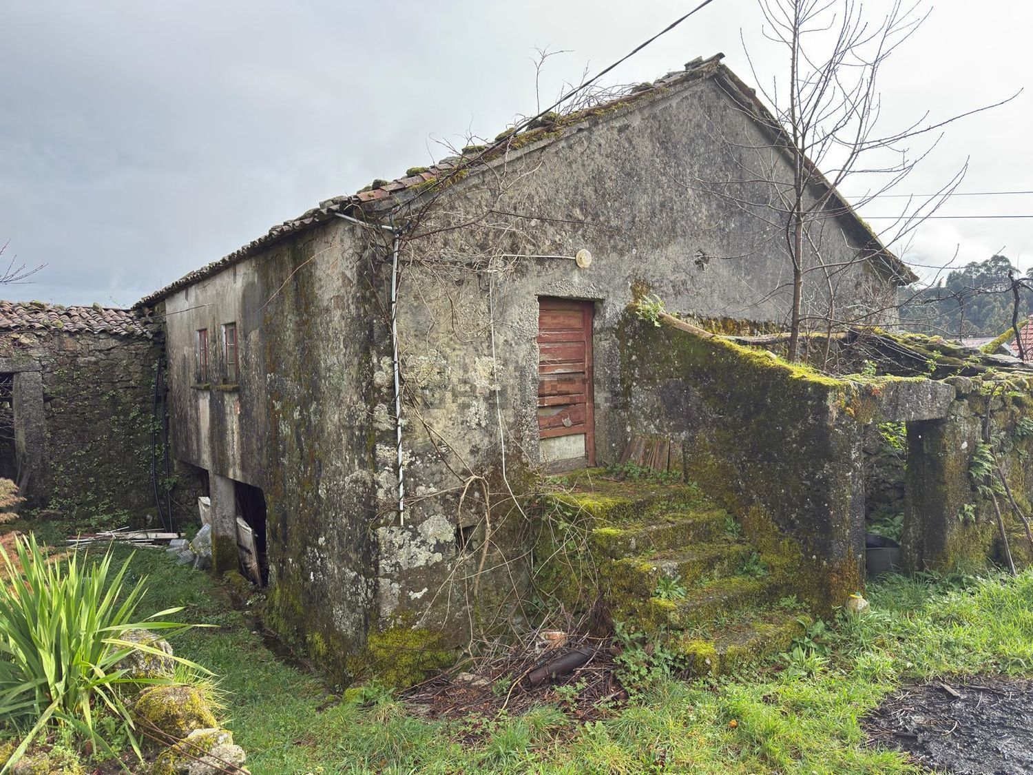 小楼房或独栋别墅出售在Ribeira do Neiva - 外立面
