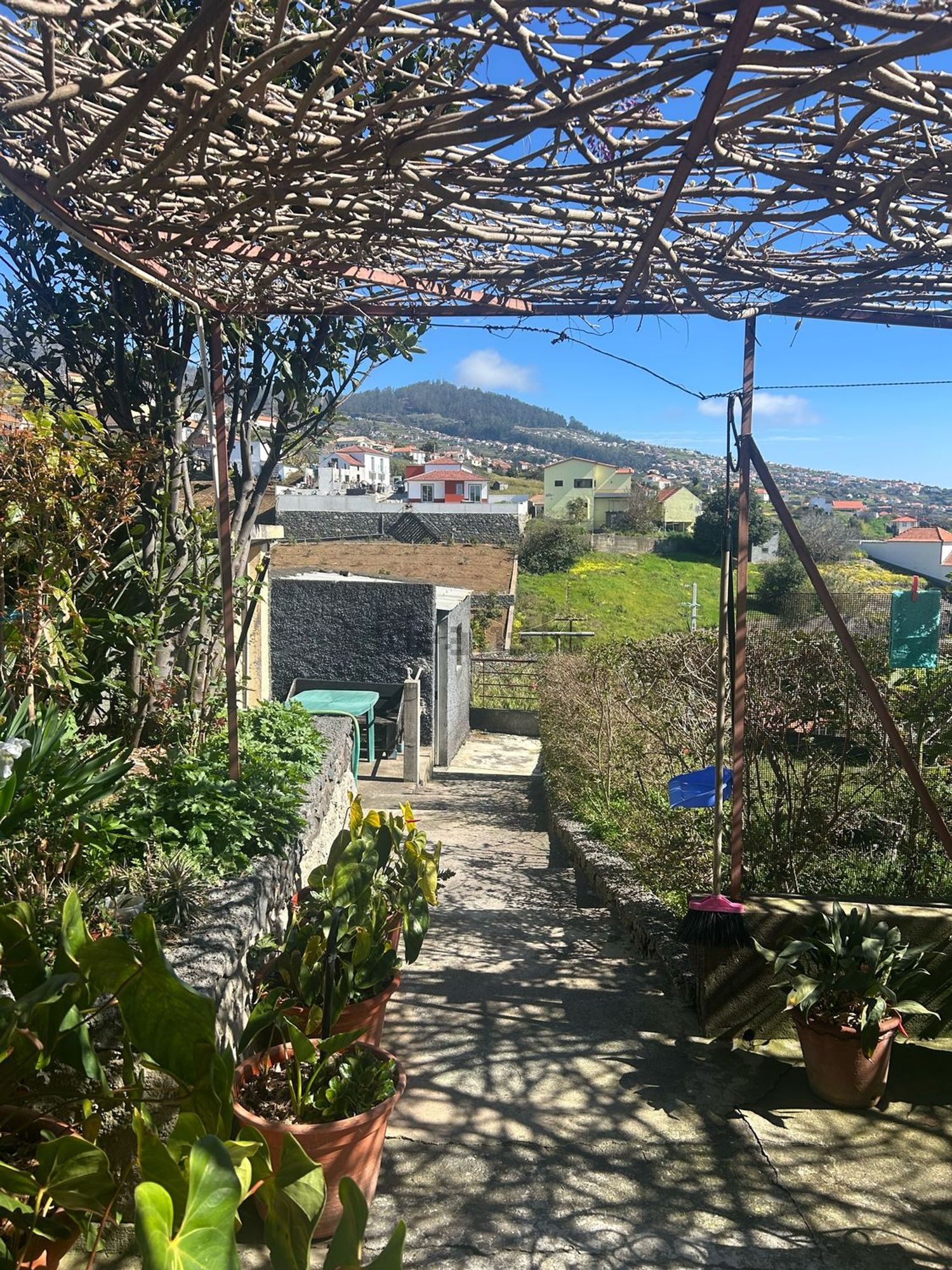 小楼房或独栋别墅出售在Calheta - 院子
