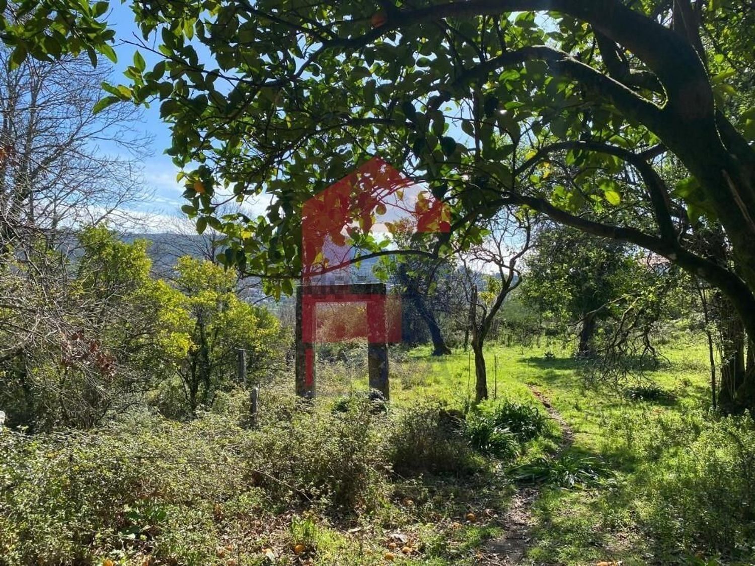 小楼房或别墅出售在Ribeira do Neiva - 花园