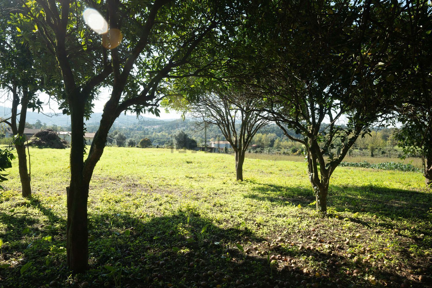 小楼房或独栋别墅出售在Travessa da Aldeia, 38 - 花园
