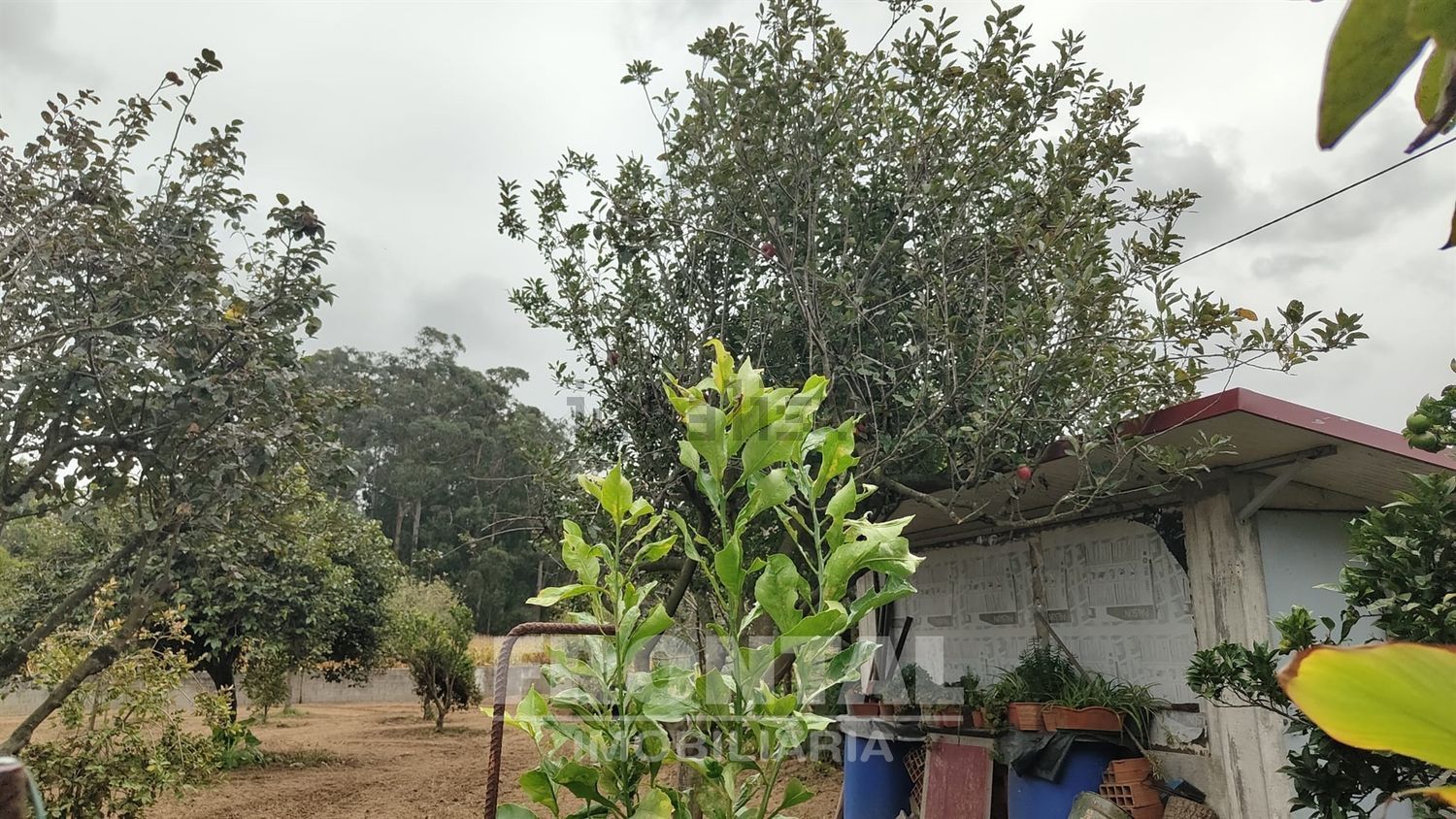 小楼房或独栋别墅出售在 Perafita - Lavra - Santa Cruz do Bispo - 花园