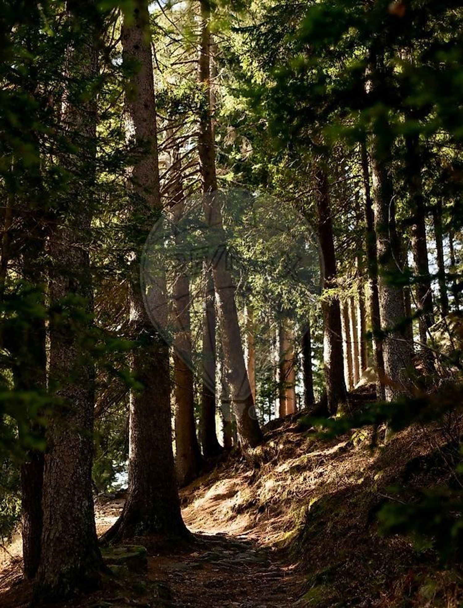 小楼房或独栋别墅出售在Estrada do Rio Cortiço - 照片