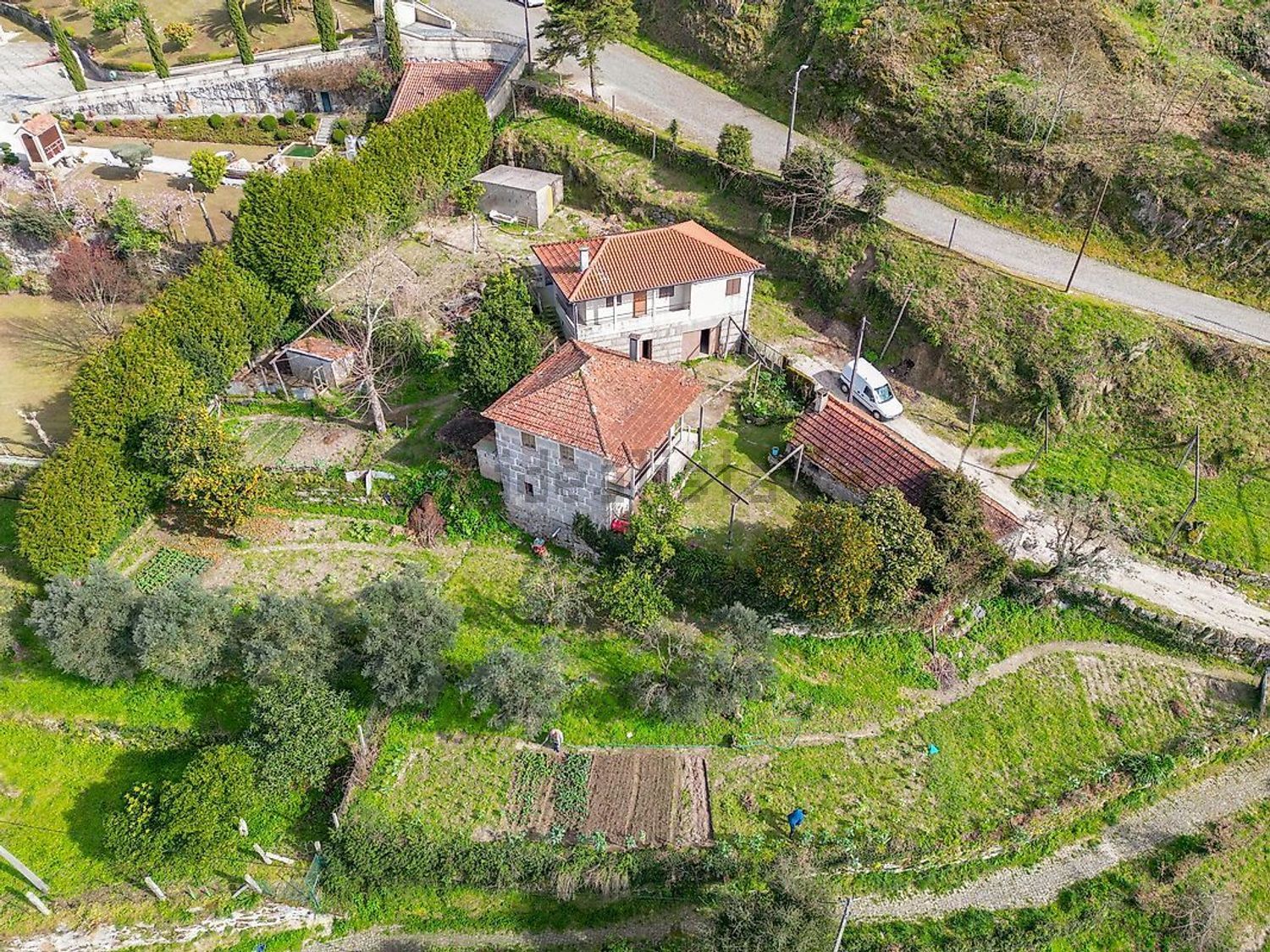 庄园出售在Rua de Corvos - 照片