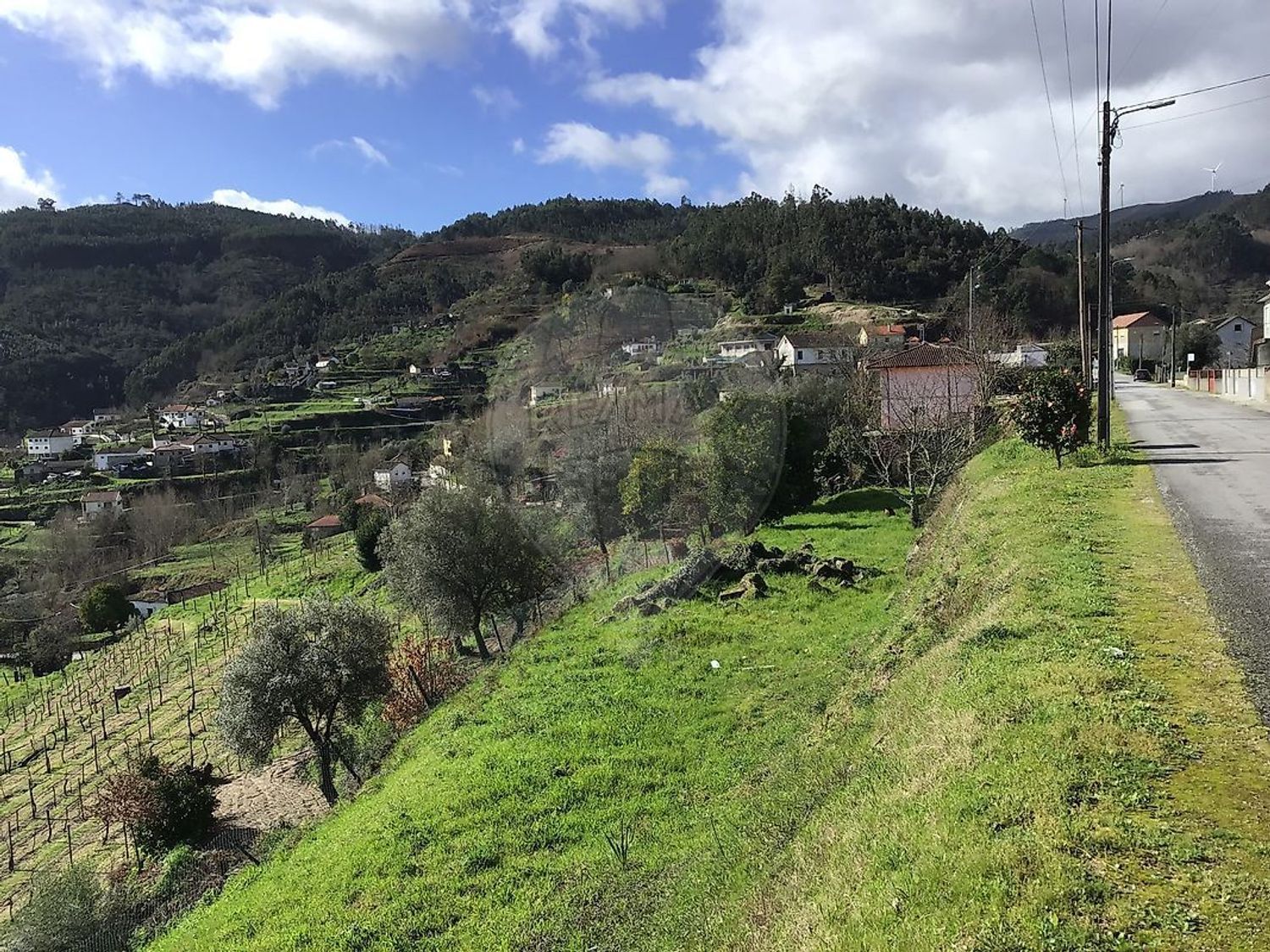 小楼房或独栋别墅出售在Vale de Bouro - 视线