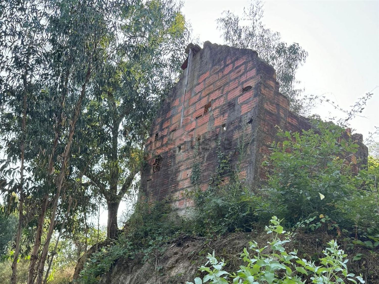 庄园出售在Rua Costa Grande de Cima, 100 - 花园