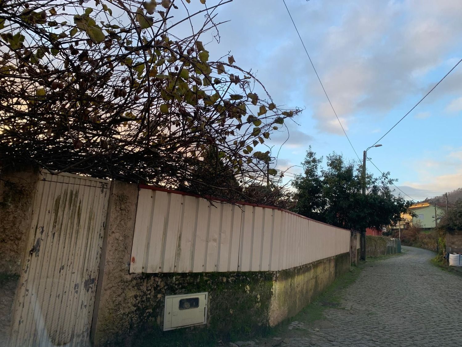庄园出售在Rua da Fontainha s/n - 外立面