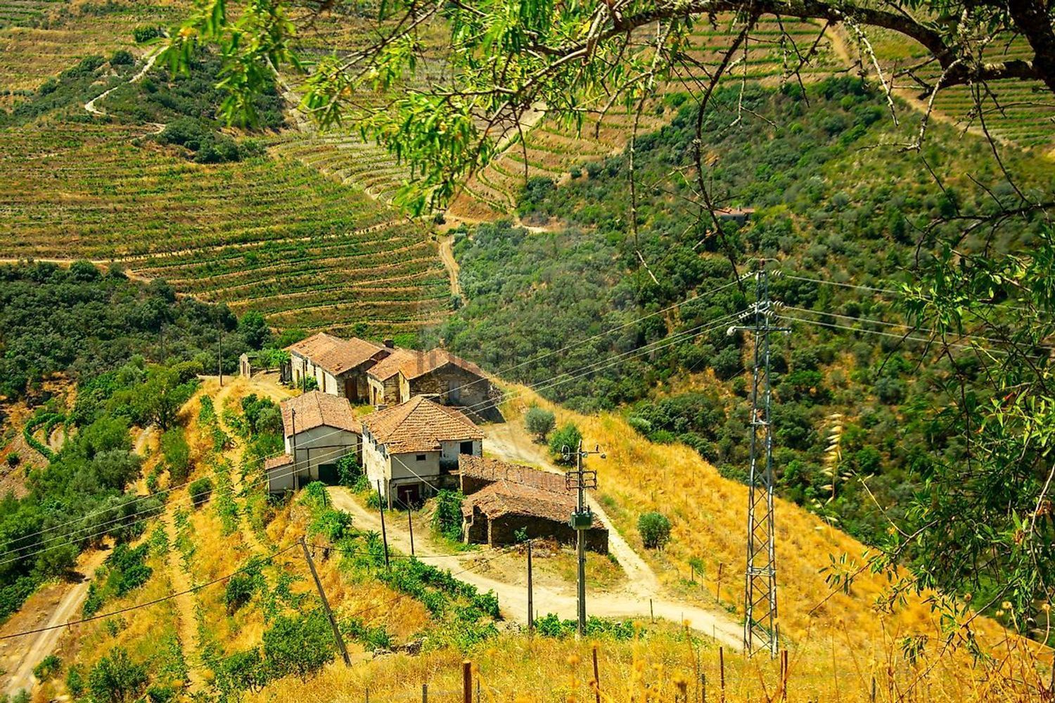 庄园出售在Bairro da Canelha - 视线
