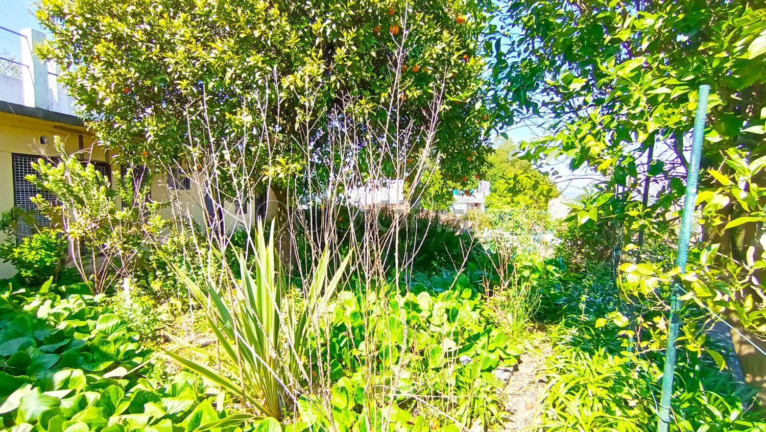 小楼房或独栋别墅出售在Travessa Senhor dos Aflitos - 花园