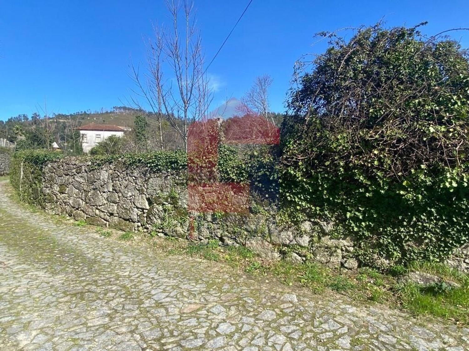 小楼房或别墅出售在Ribeira do Neiva - 花园