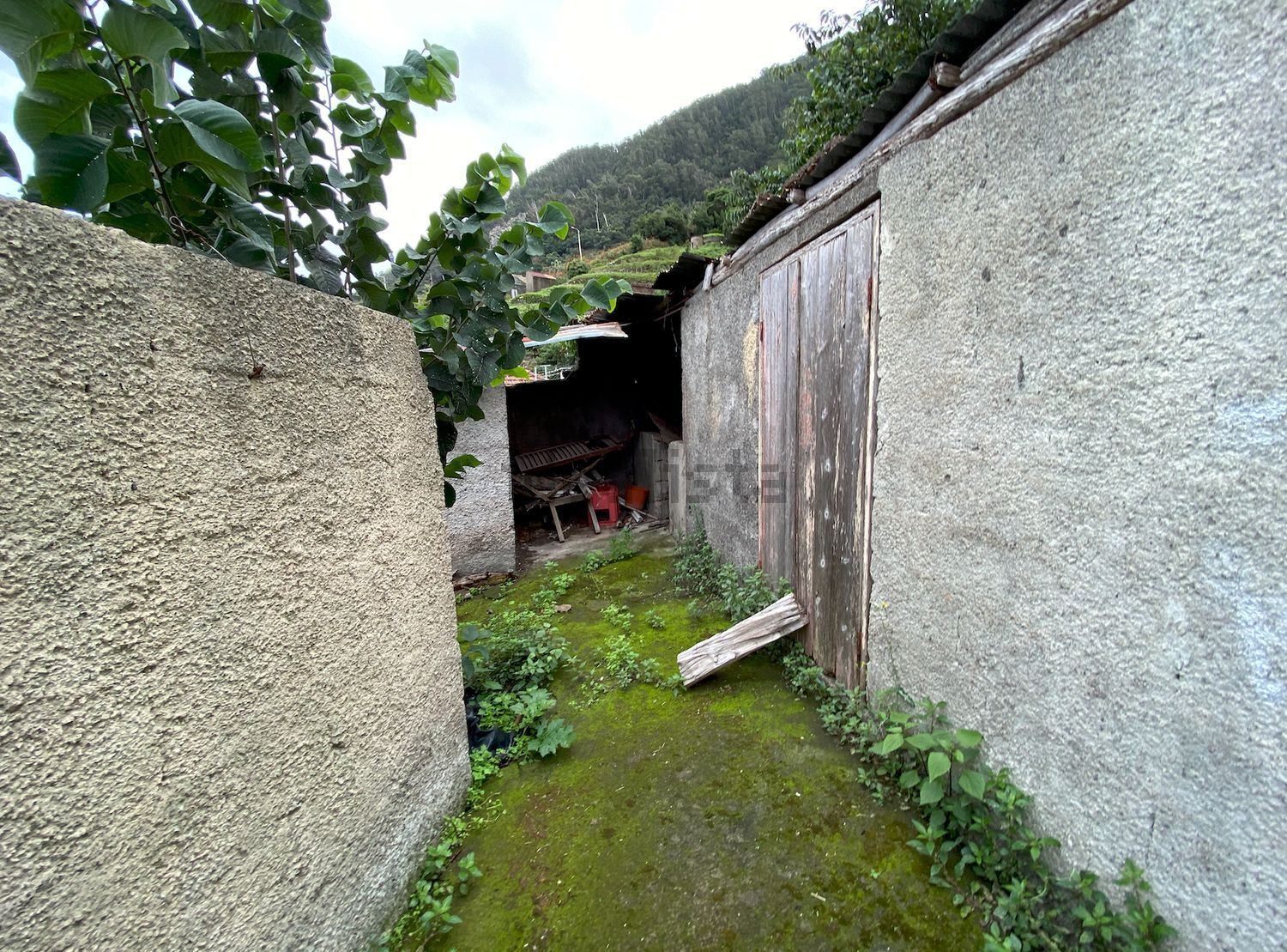 小楼房或独栋别墅出售在Estrada Dom Manuel I, 125 - 花园