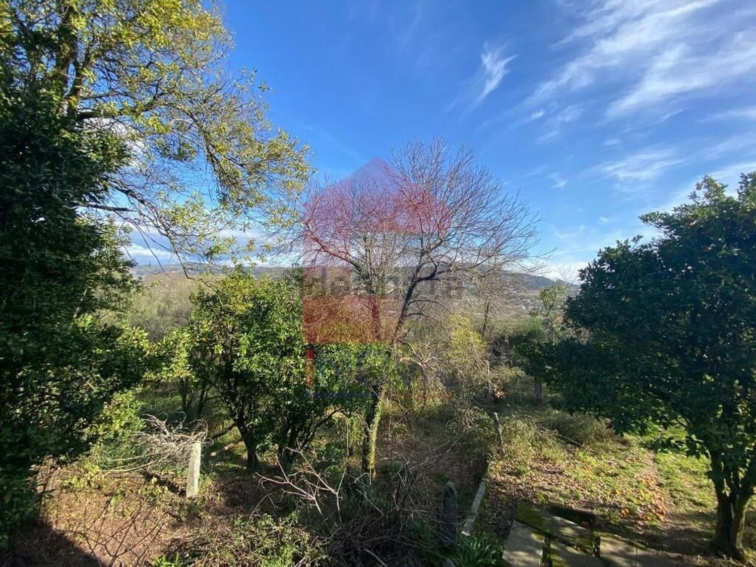 小楼房或别墅出售在Ribeira do Neiva - 花园