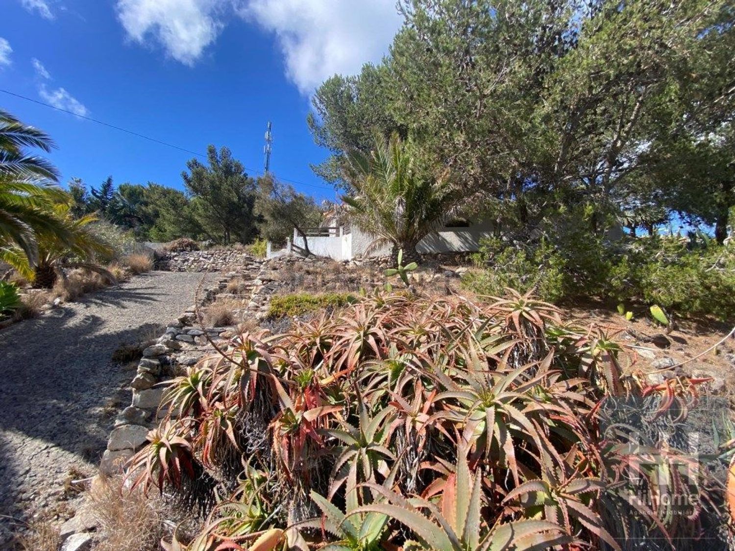 小楼房或独栋别墅出售在Porto Santo - 花园