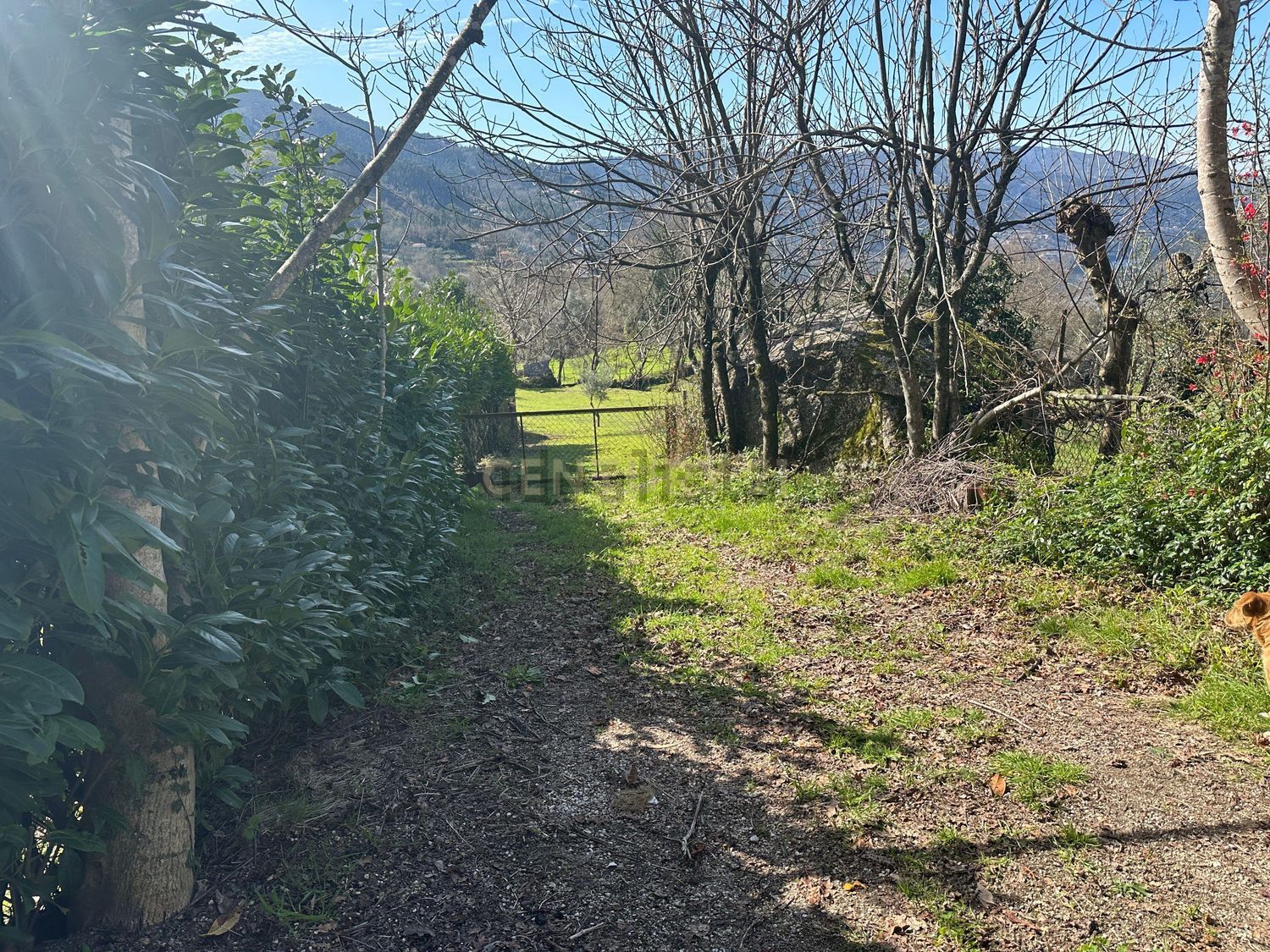 小楼房或独栋别墅出售N103 - 花园