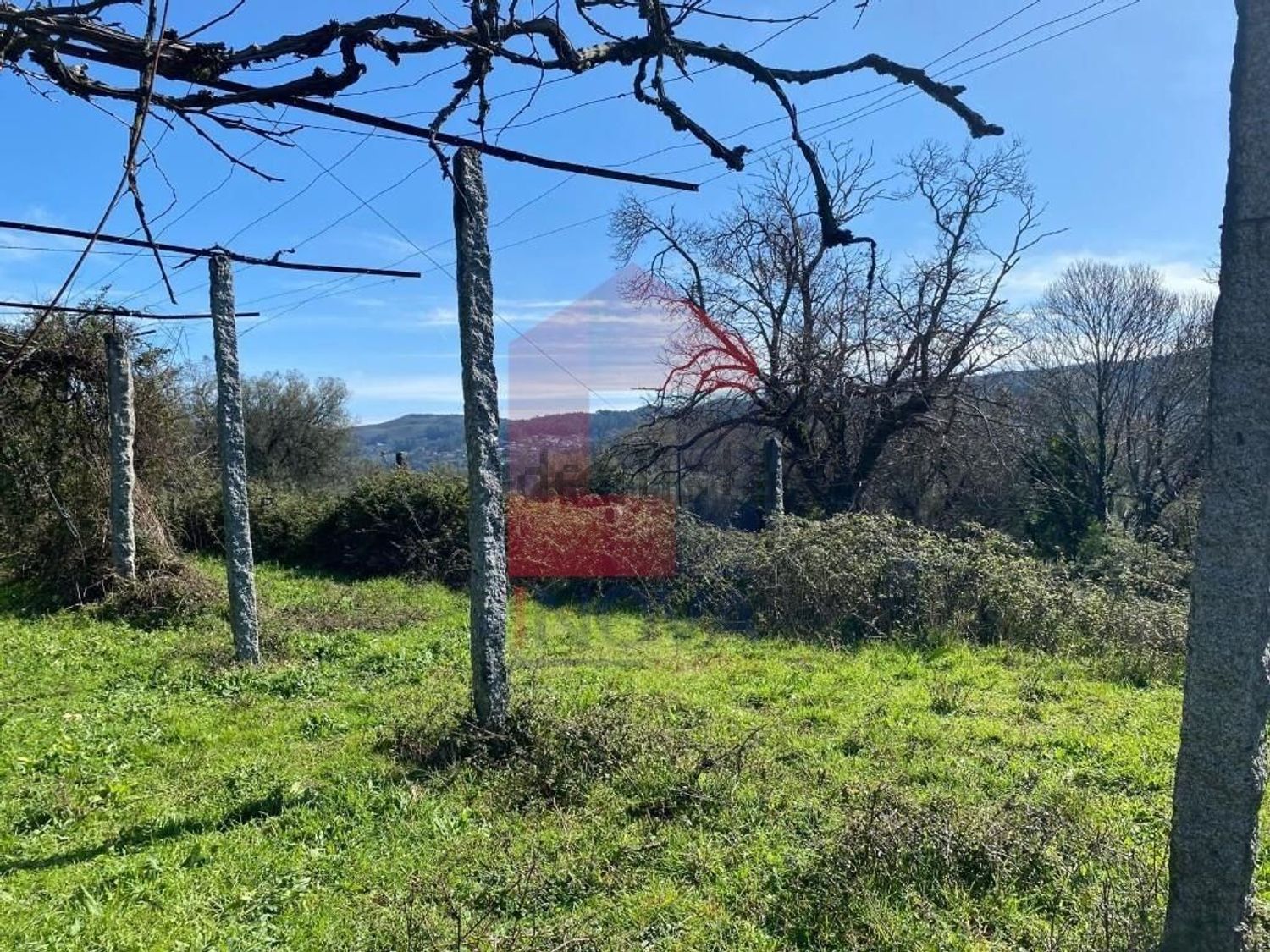 小楼房或别墅出售在Ribeira do Neiva - 花园