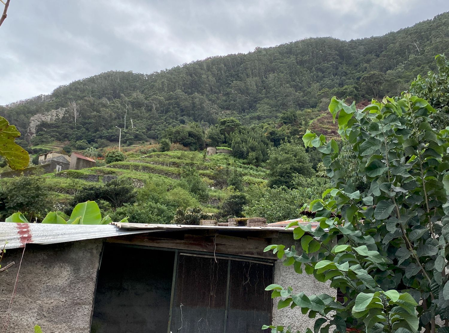 小楼房或独栋别墅出售在Estrada Dom Manuel I, 125 - 视线