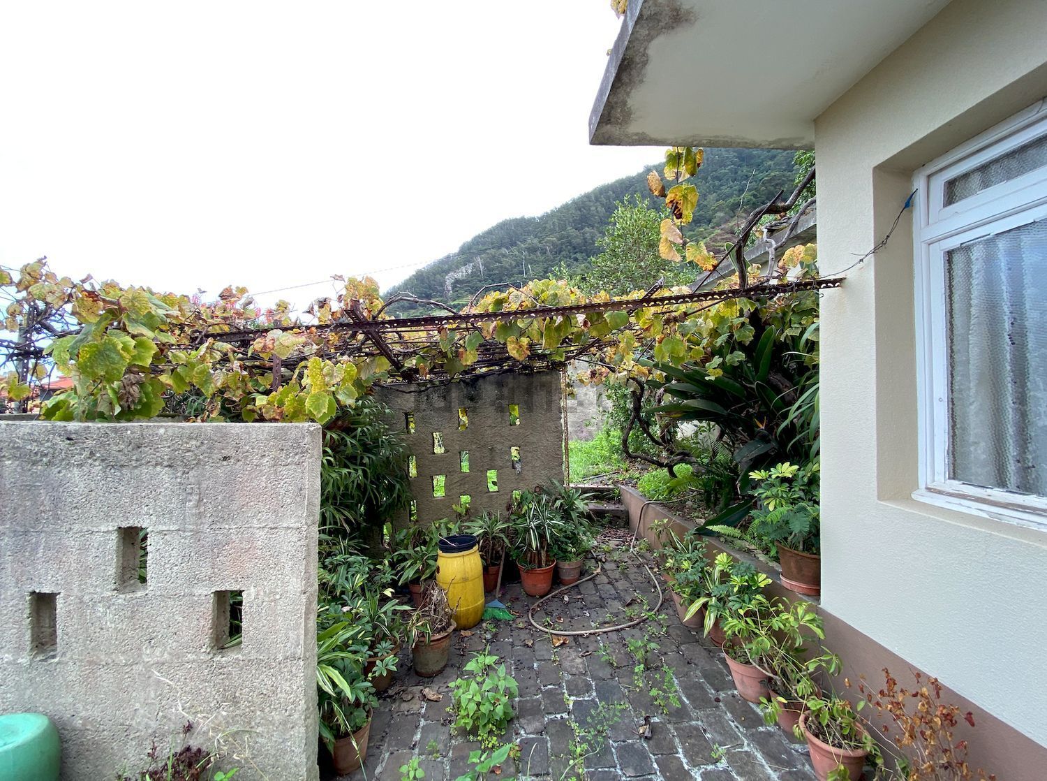 小楼房或独栋别墅出售在Estrada Dom Manuel I, 125 - 花园