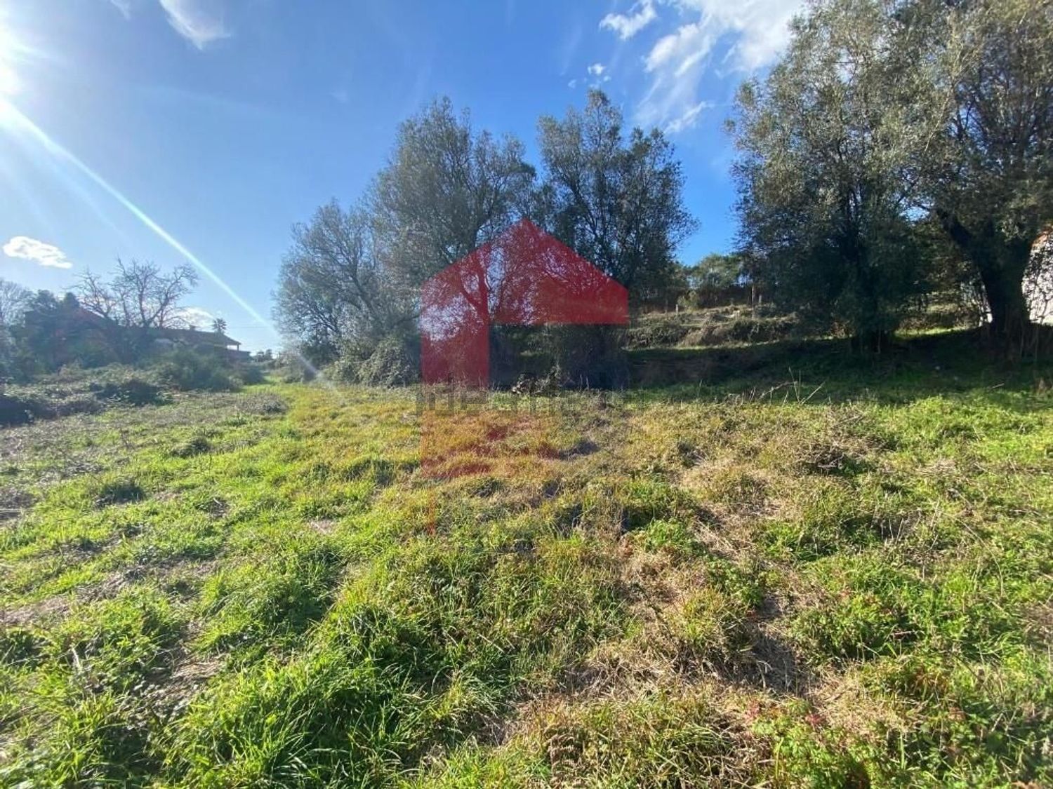 小楼房或别墅出售在Ribeira do Neiva - 花园