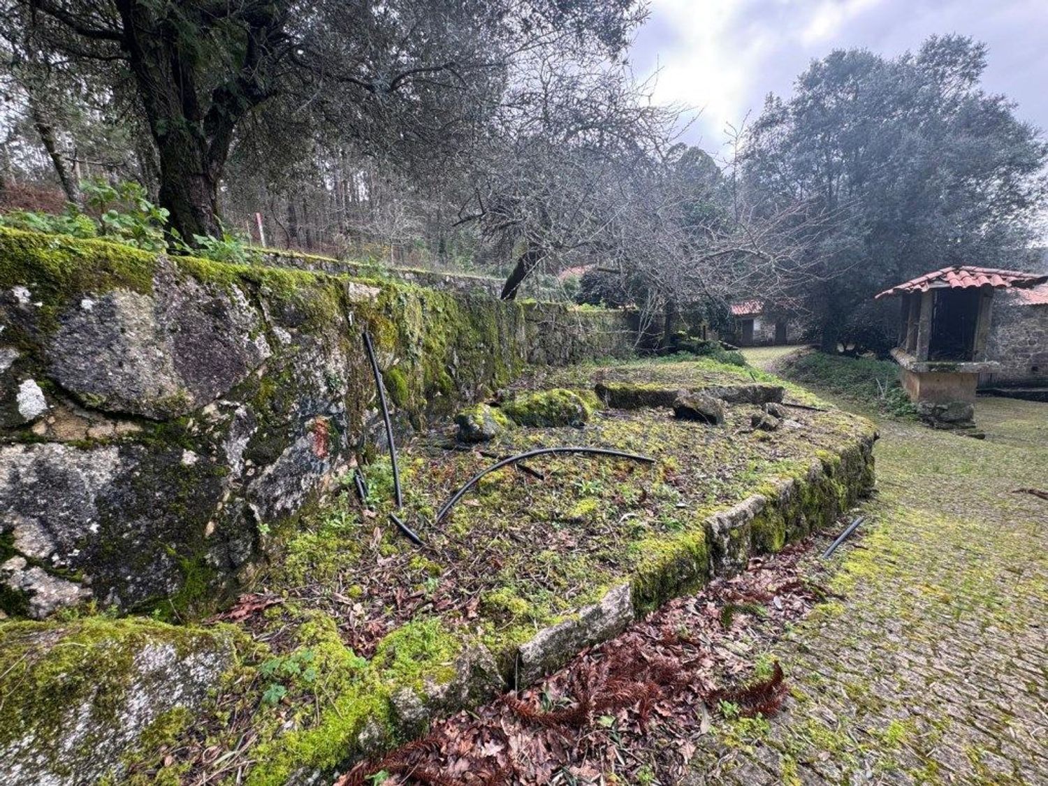 庄园出售在Rua Manuel Martins Viana - 花园