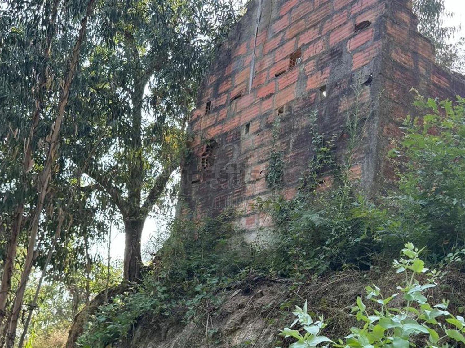 庄园出售在Rua Costa Grande de Cima, 100 - 花园
