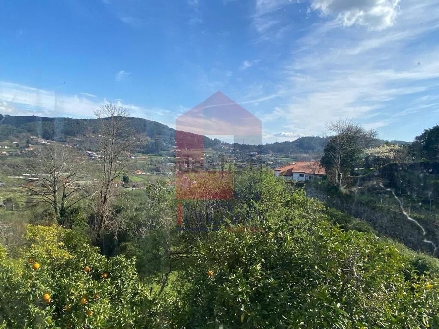 小楼房或别墅出售在Ribeira do Neiva - 视线