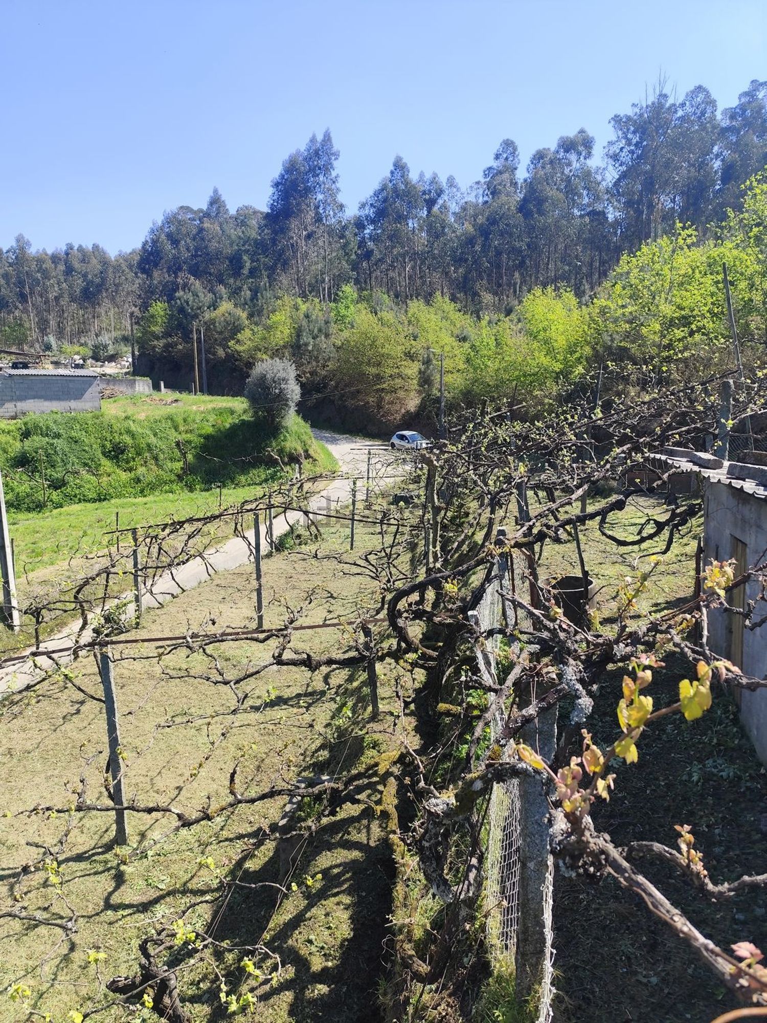小楼房或独栋别墅出售在Rua de Vilarinho de Baixo, 442 - 花园