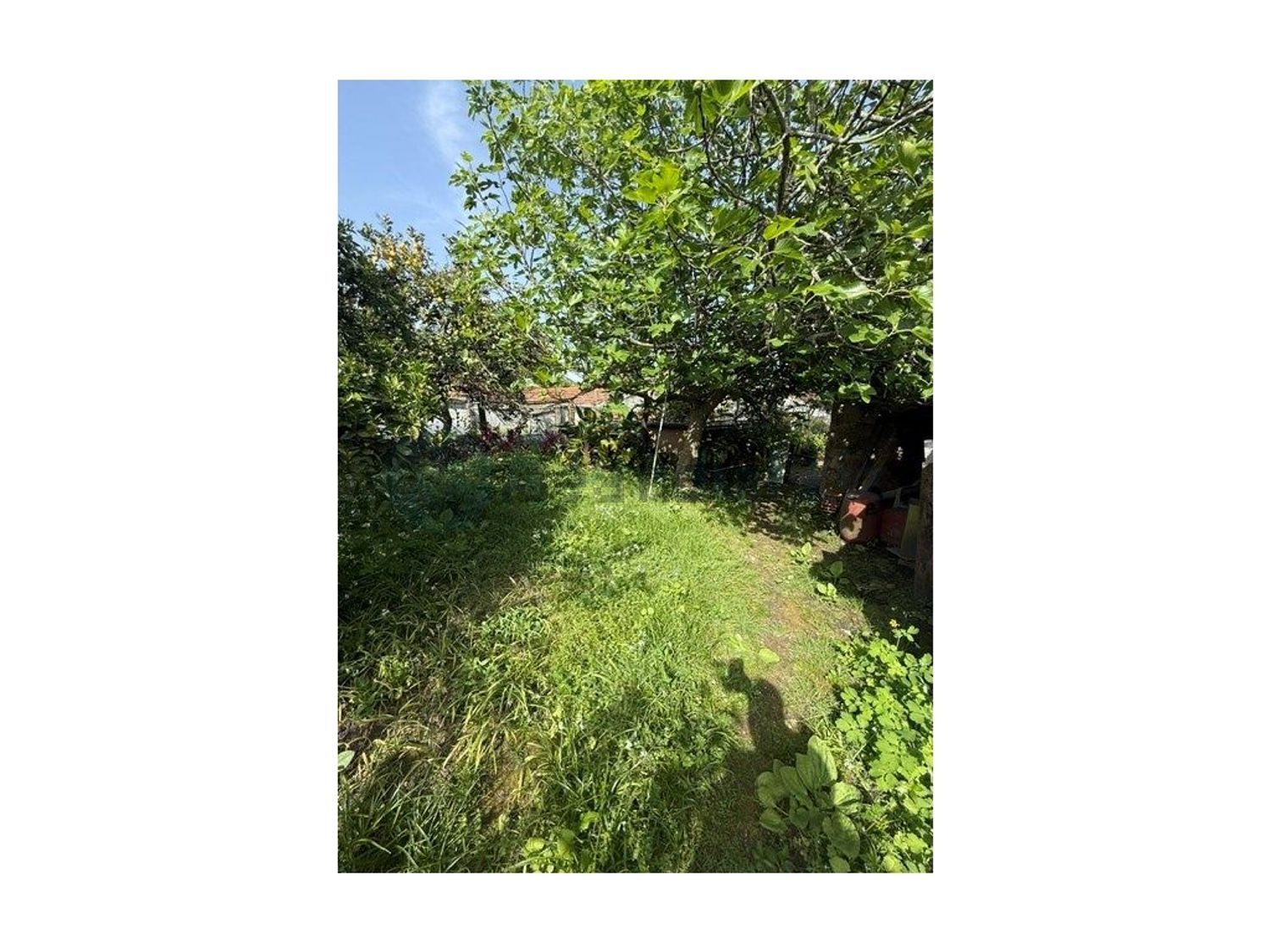 小楼房或独栋别墅出售在Rua de Recarei - 花园