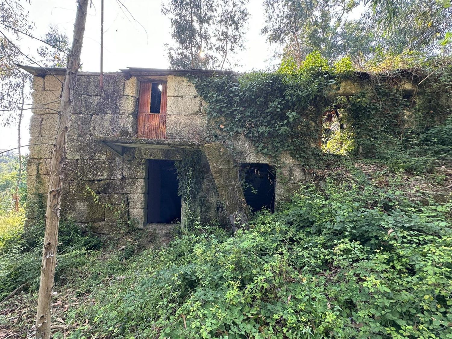 庄园出售在Rua Costa Grande de Cima, 100 - 外立面