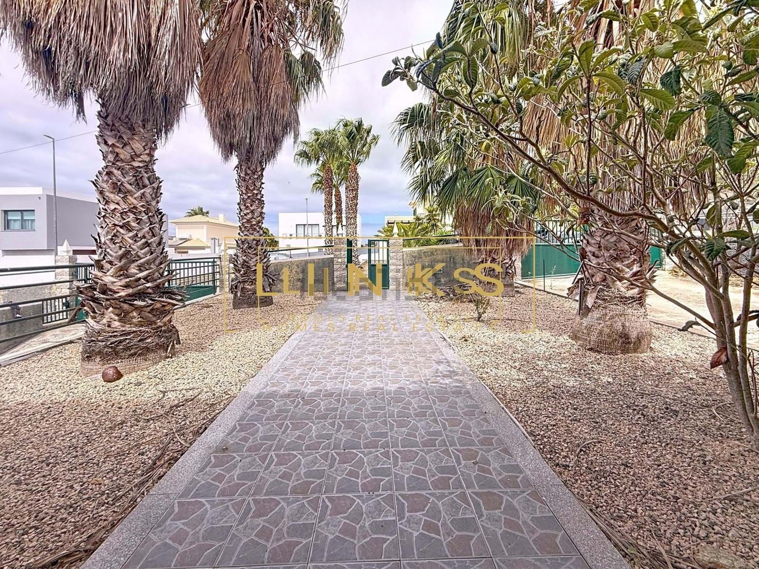 公寓 t3出售在Porto Santo - 花园